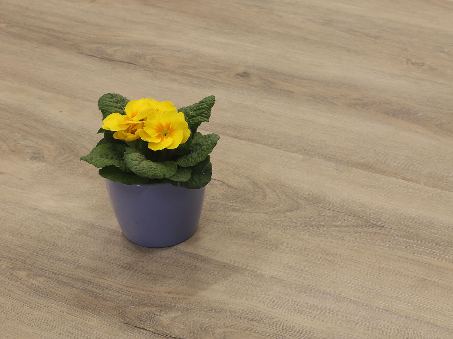 Rigid LVT Dub skandinávský 9480