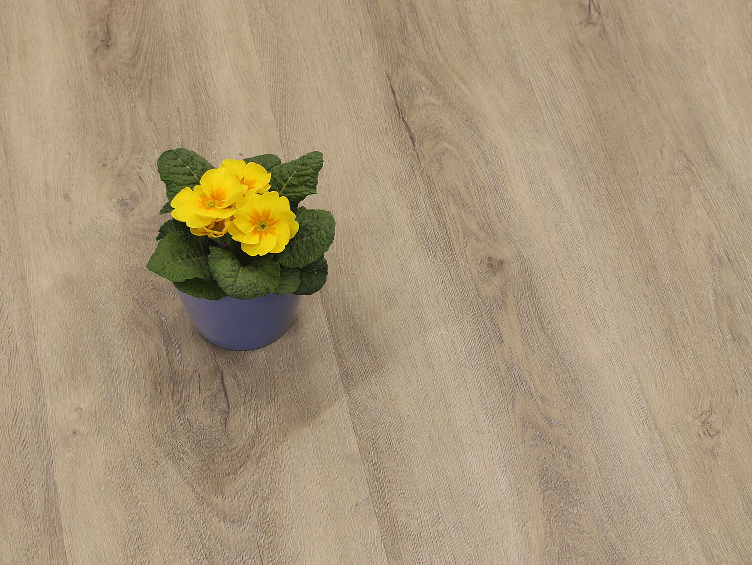 Rigid LVT Dub skandinávský 9480