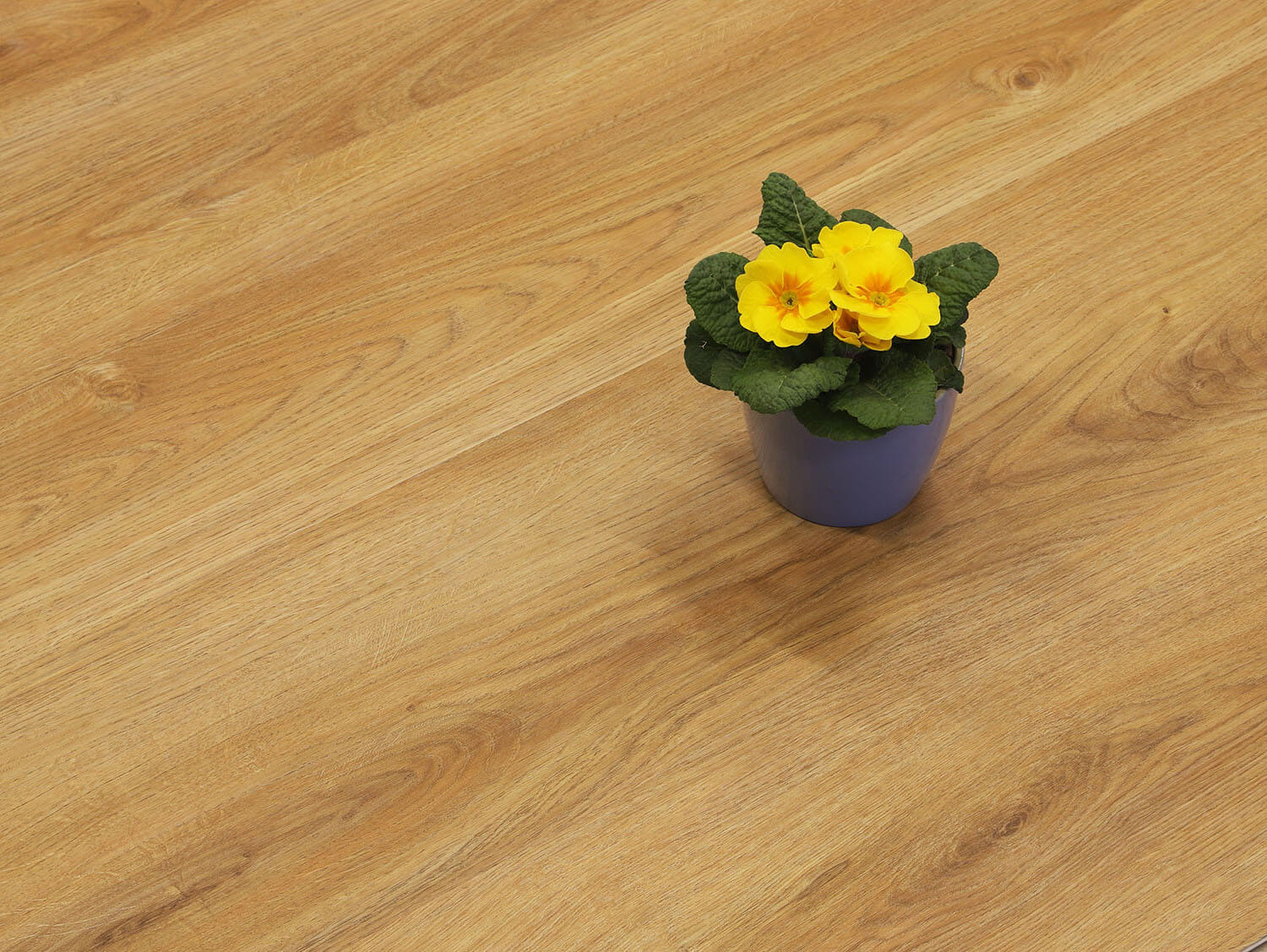 Rigid LVT Dub selský EIR 69541