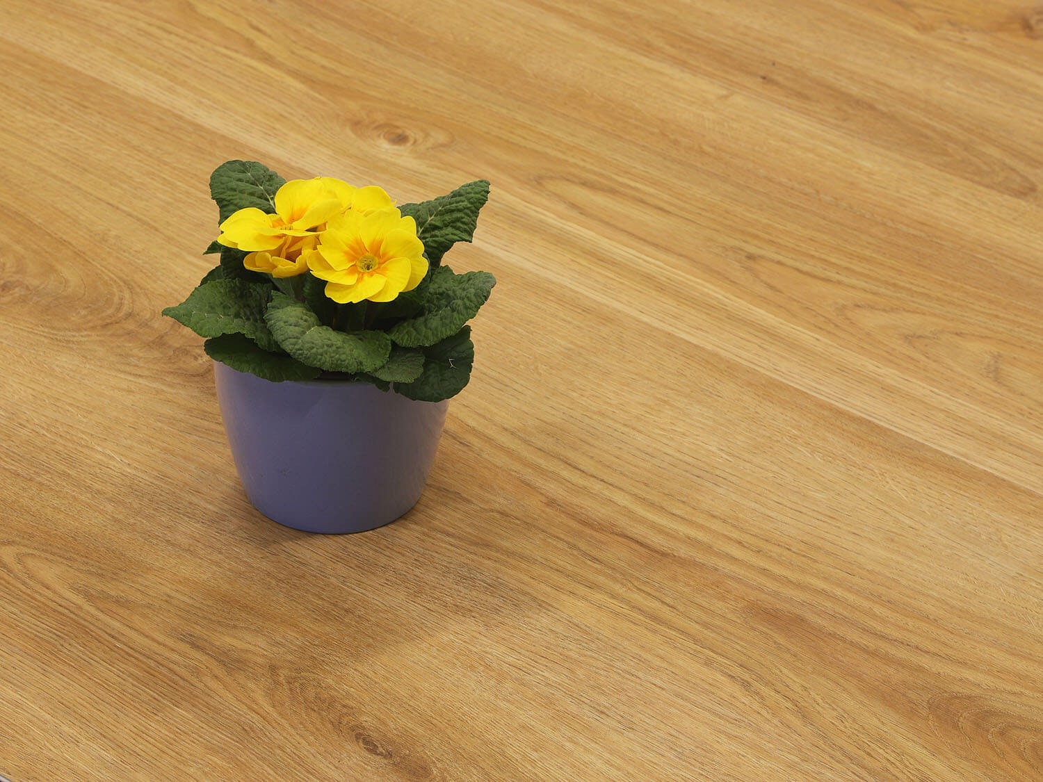 Rigid LVT Dub selský EIR 69541