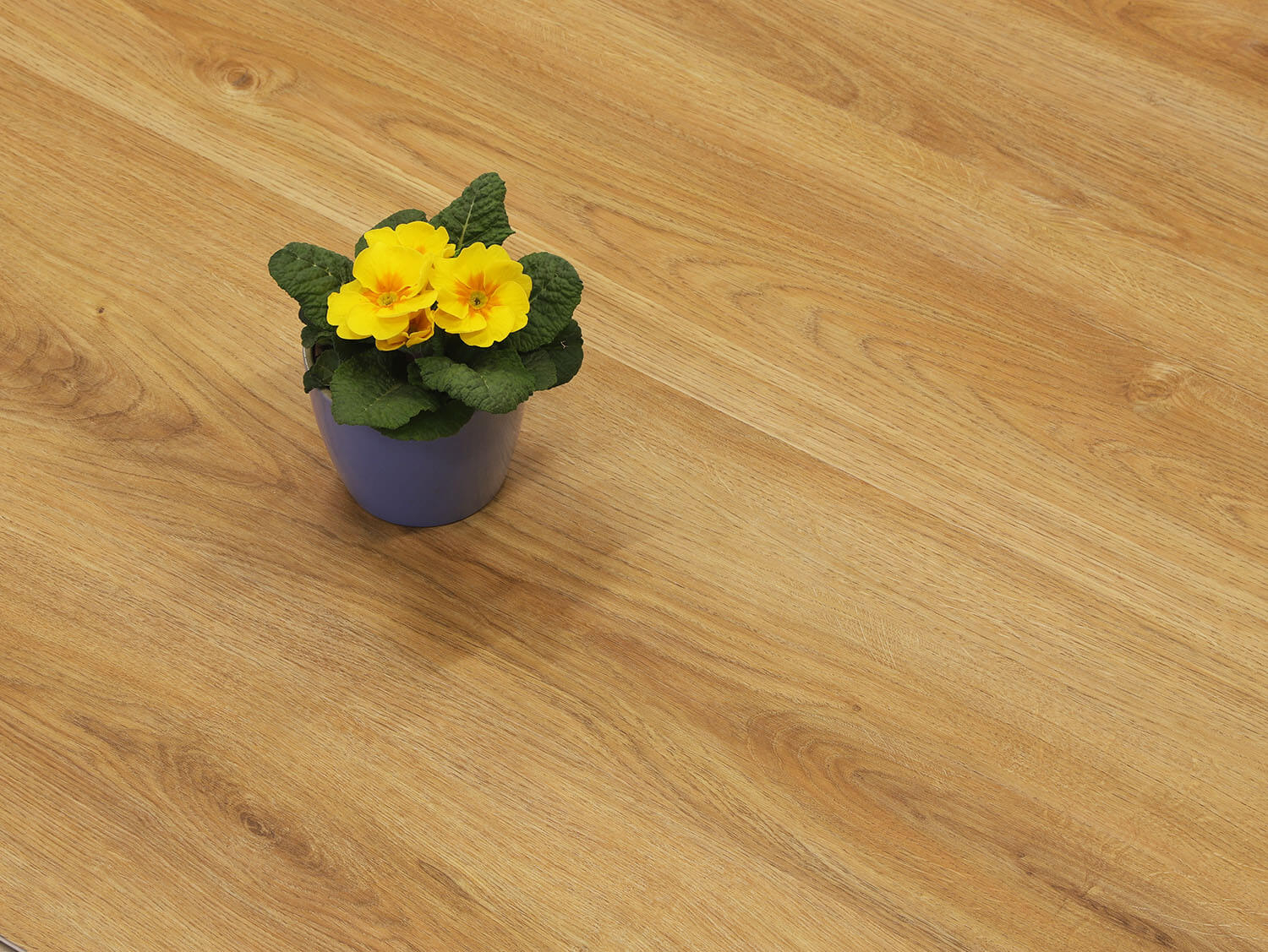 Rigid LVT Dub selský EIR 69541