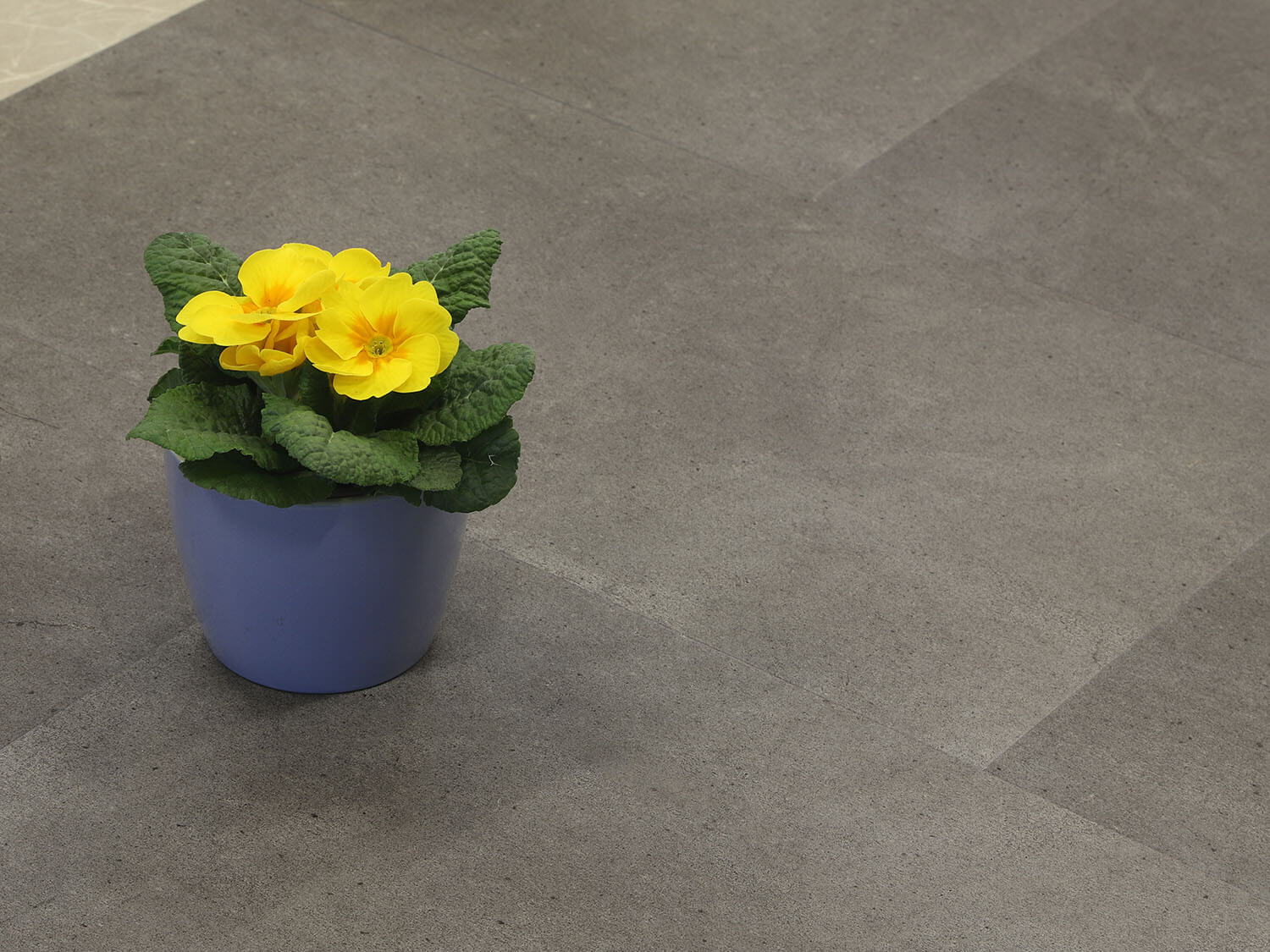 Rigid LVT Beton tmavý 382310