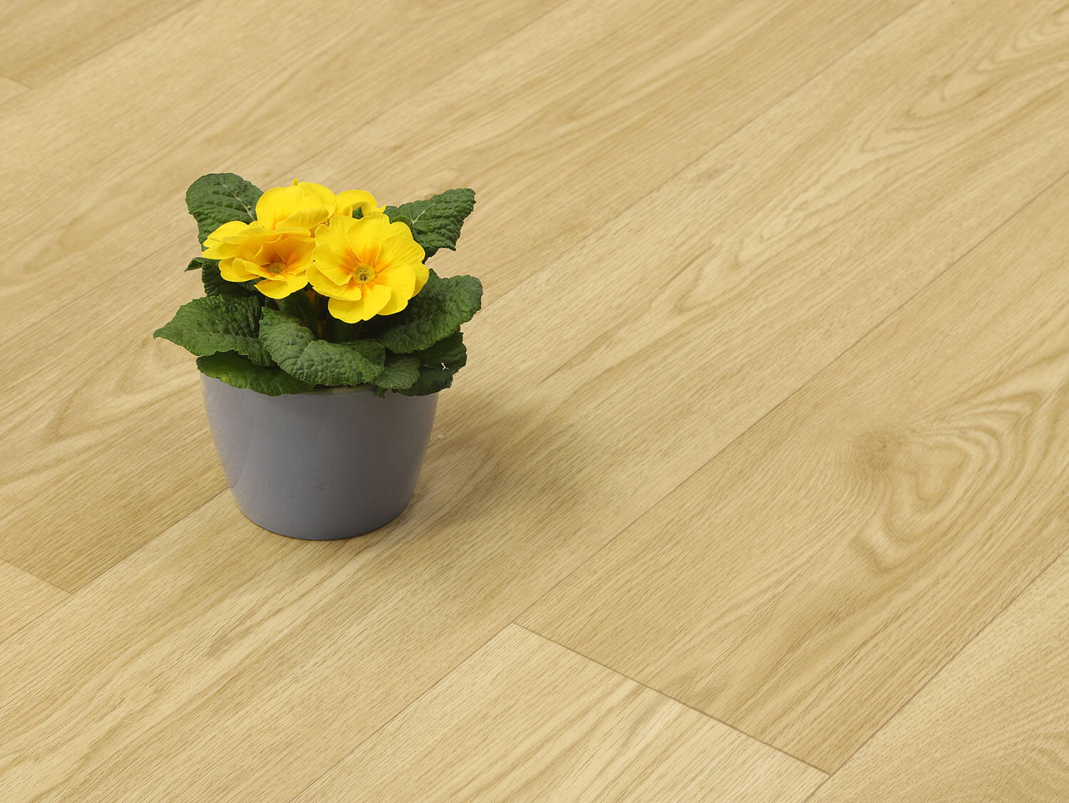 Textra Copenhagen 1562