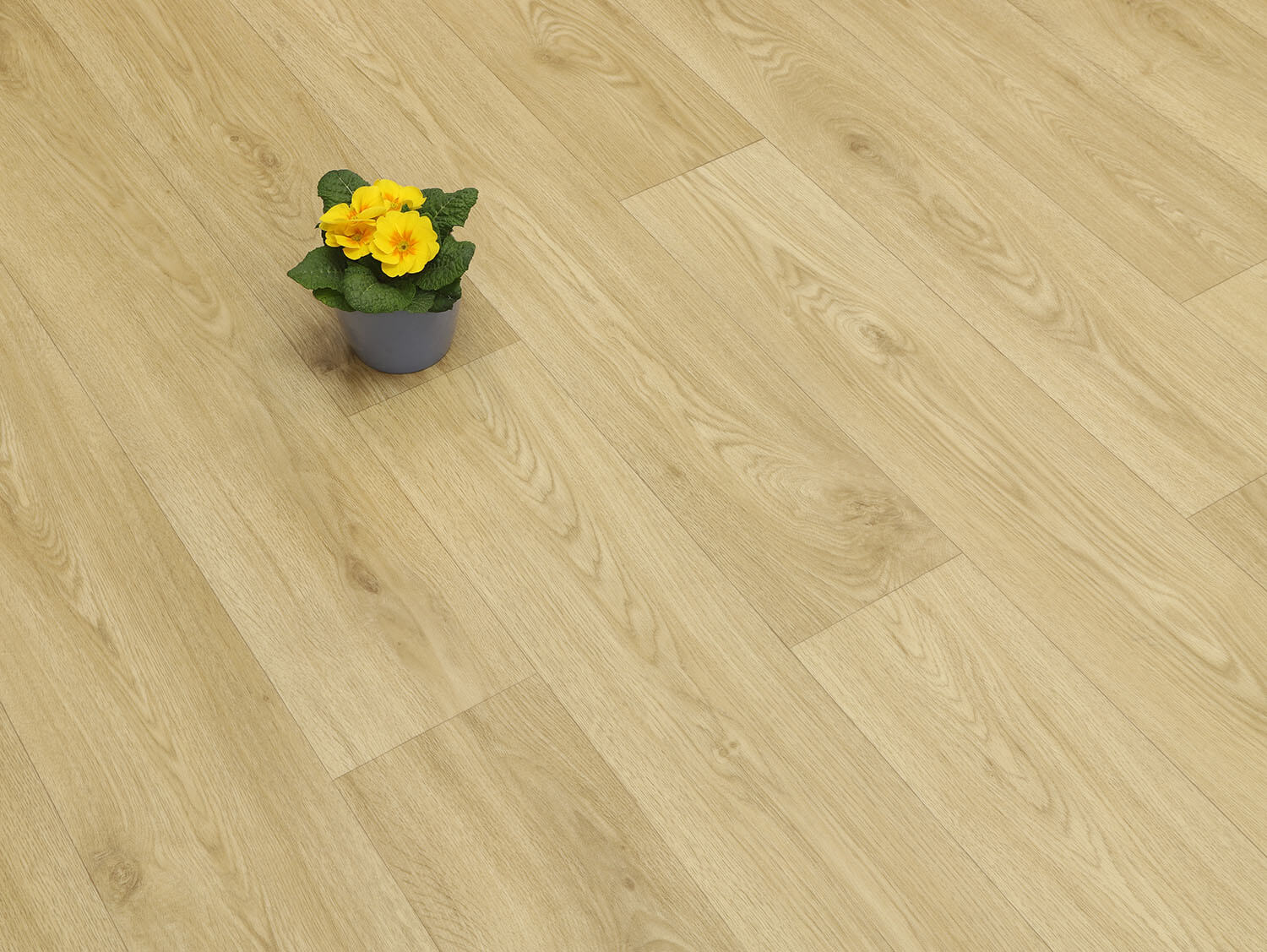 Textra Copenhagen 1562