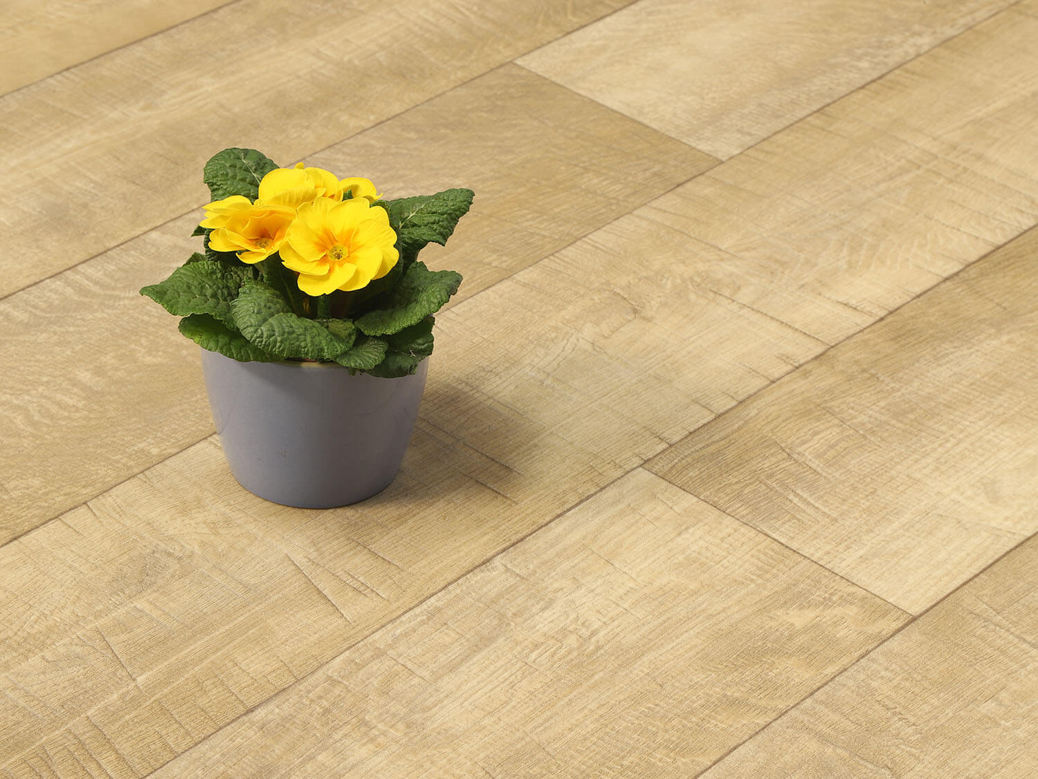 Textra Forester 1537