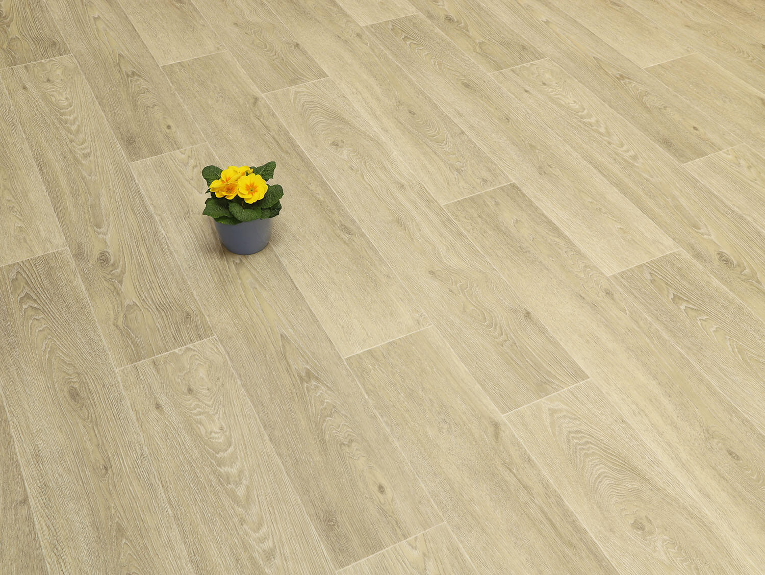 Textra Chaparral 509