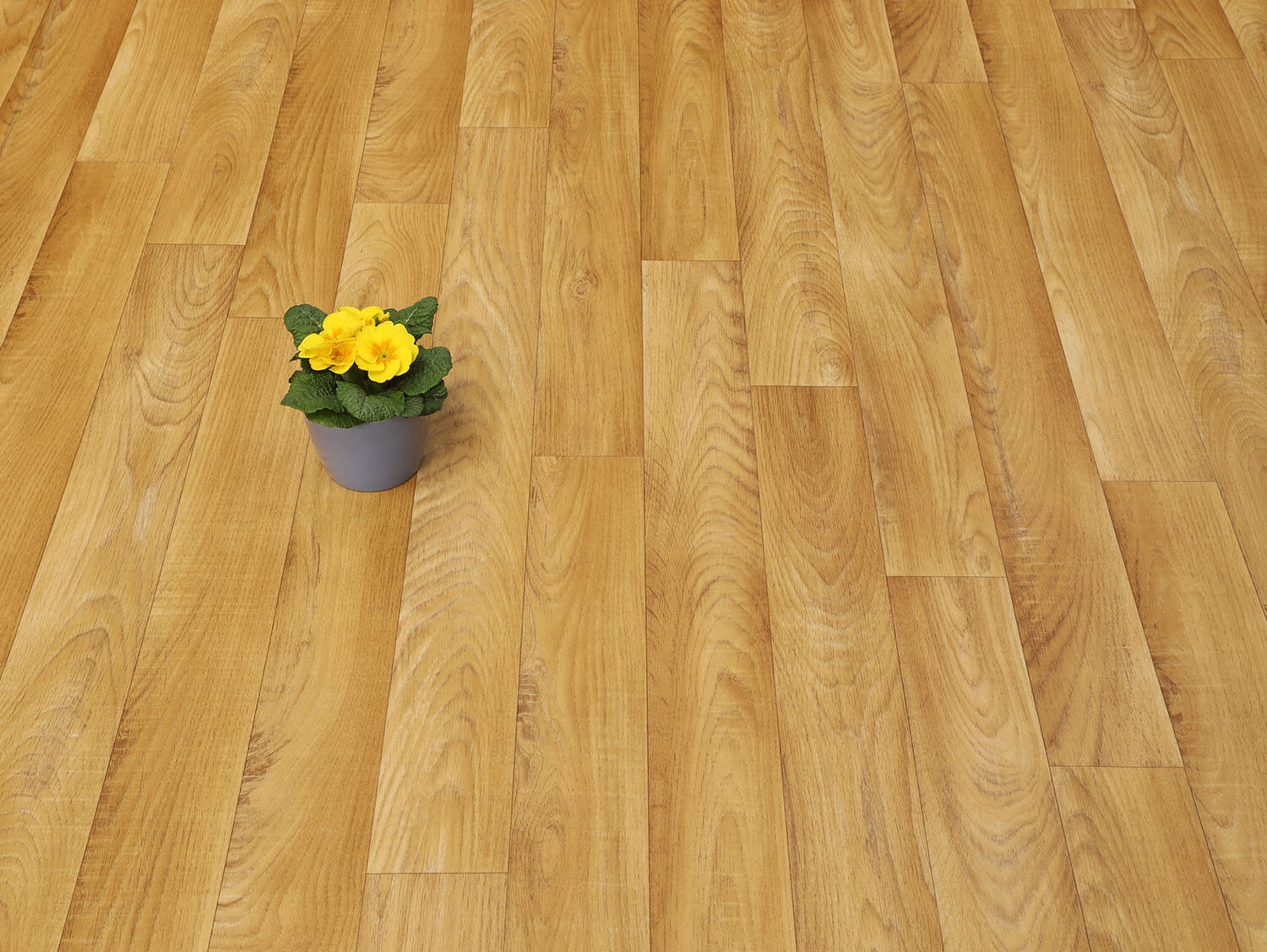 Textra Noblesse 2533