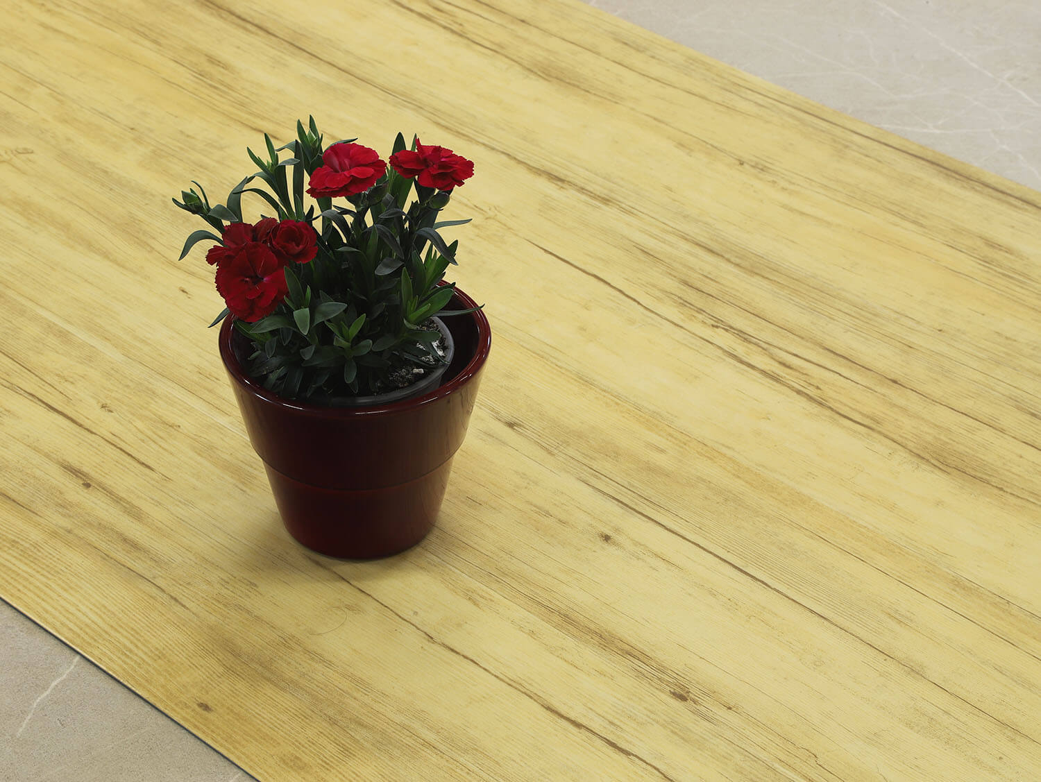 Thermofix PRO 14173-1 Buk brazilský