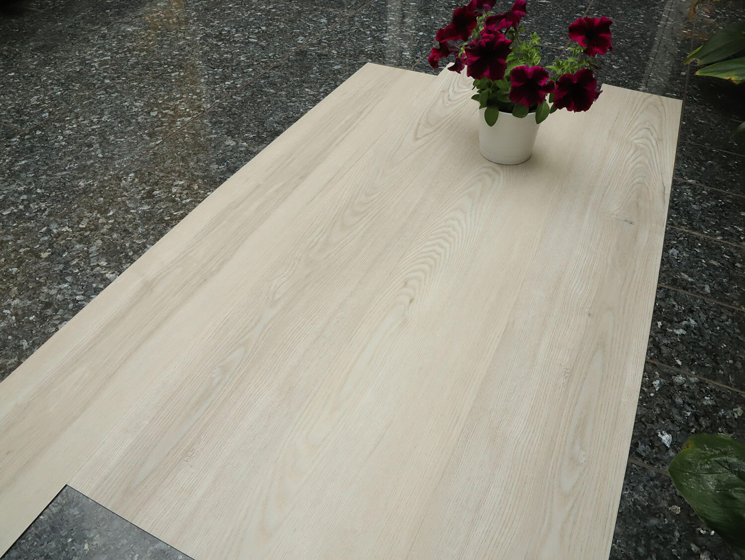 Thermofix PRO 14179-1 Dub Valencia