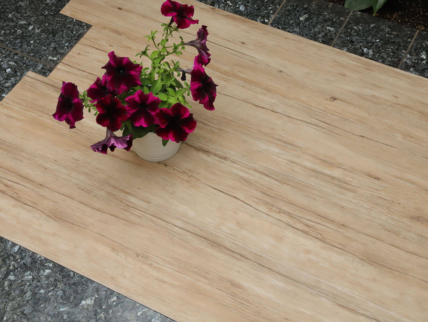 Thermofix PRO 14172-1 Buk templářský