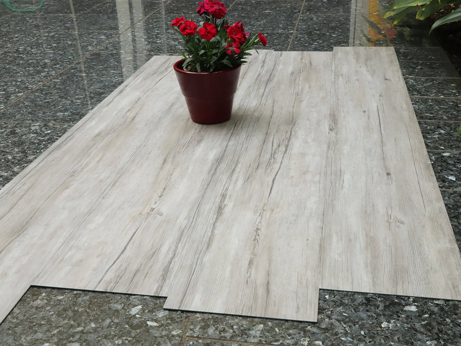 Thermofix PRO 14170-1 Buk arktický