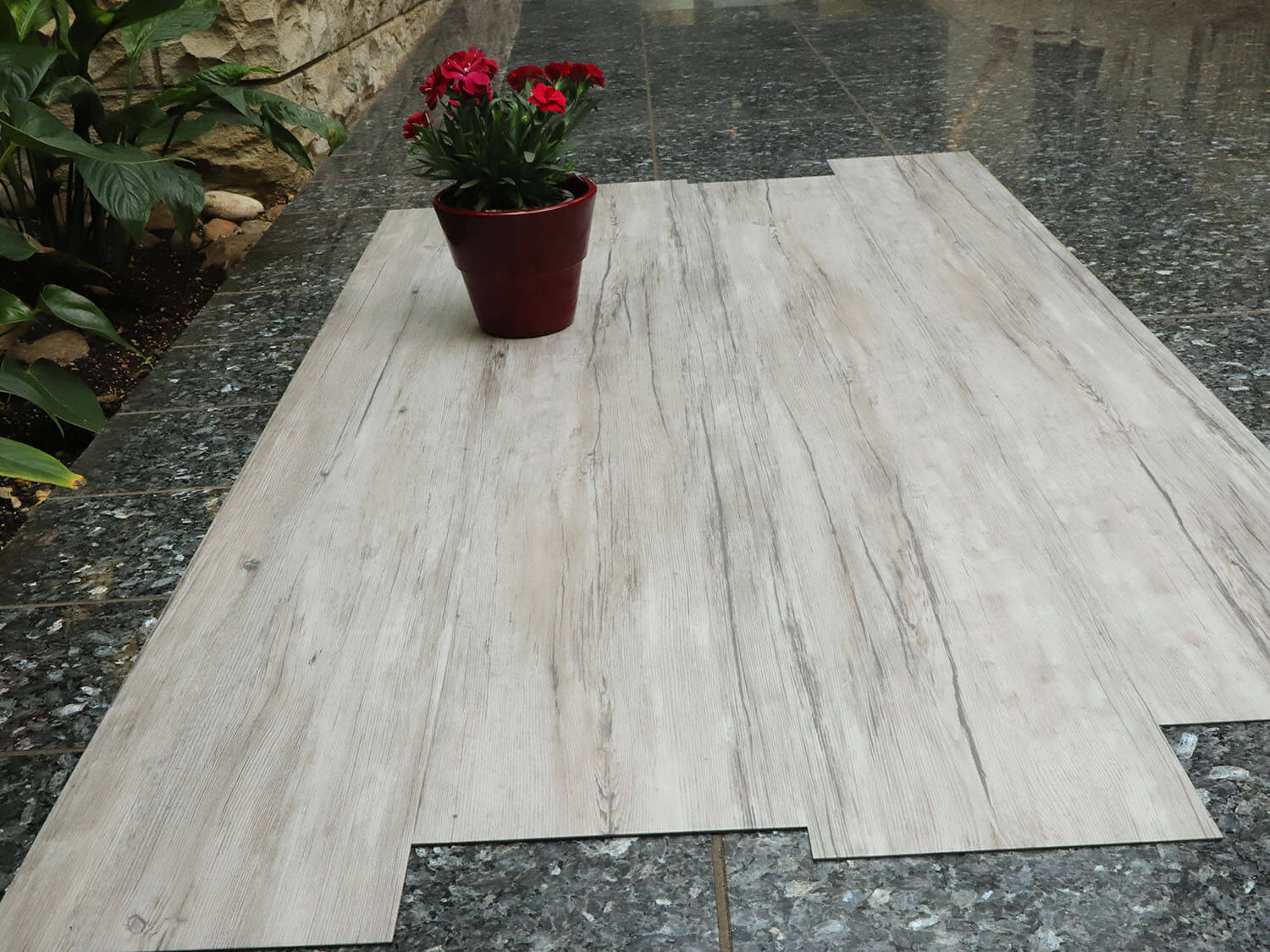 Thermofix PRO 14170-1 Buk arktický