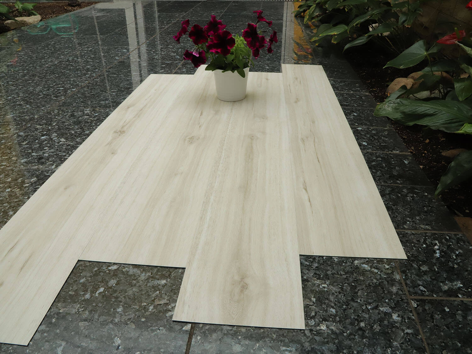 Thermofix PRO 14167-1 Dub Roma