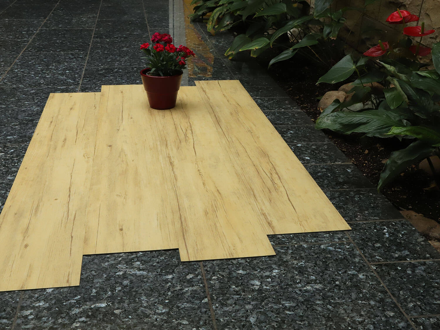 Thermofix PRO 14173-1 Buk brazilský