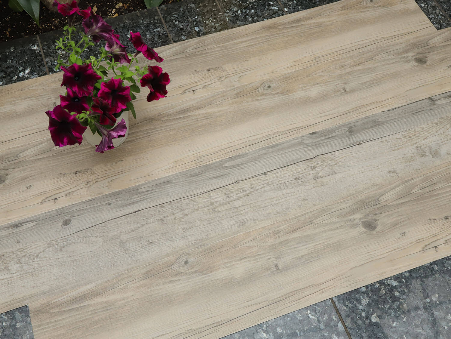 Thermofix PRO 14128-1 Borovice sibiřská