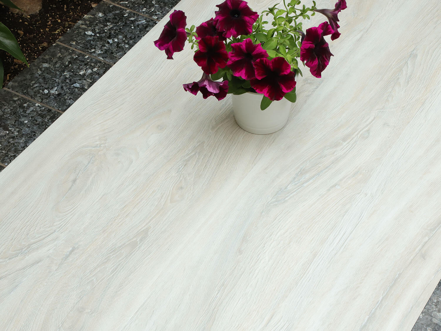 Thermofix PRO 14146-1 Dub popelavý