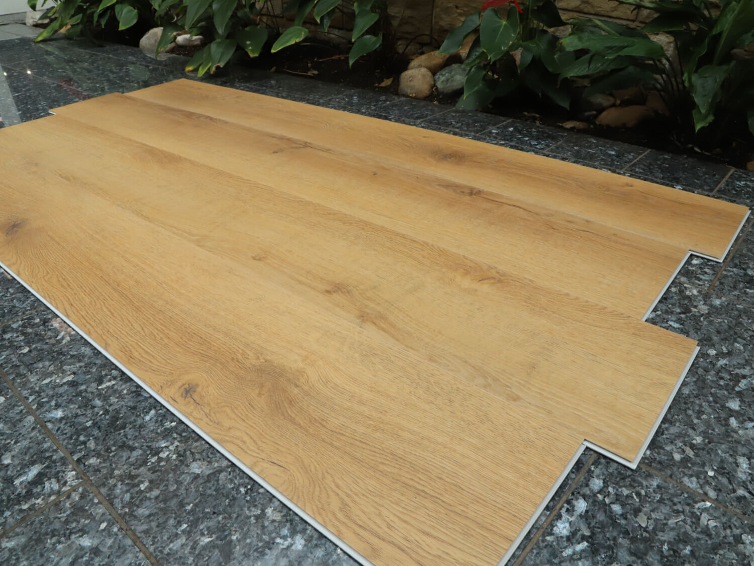 Rigid+ Dub beskydský EIR XL 51081E02