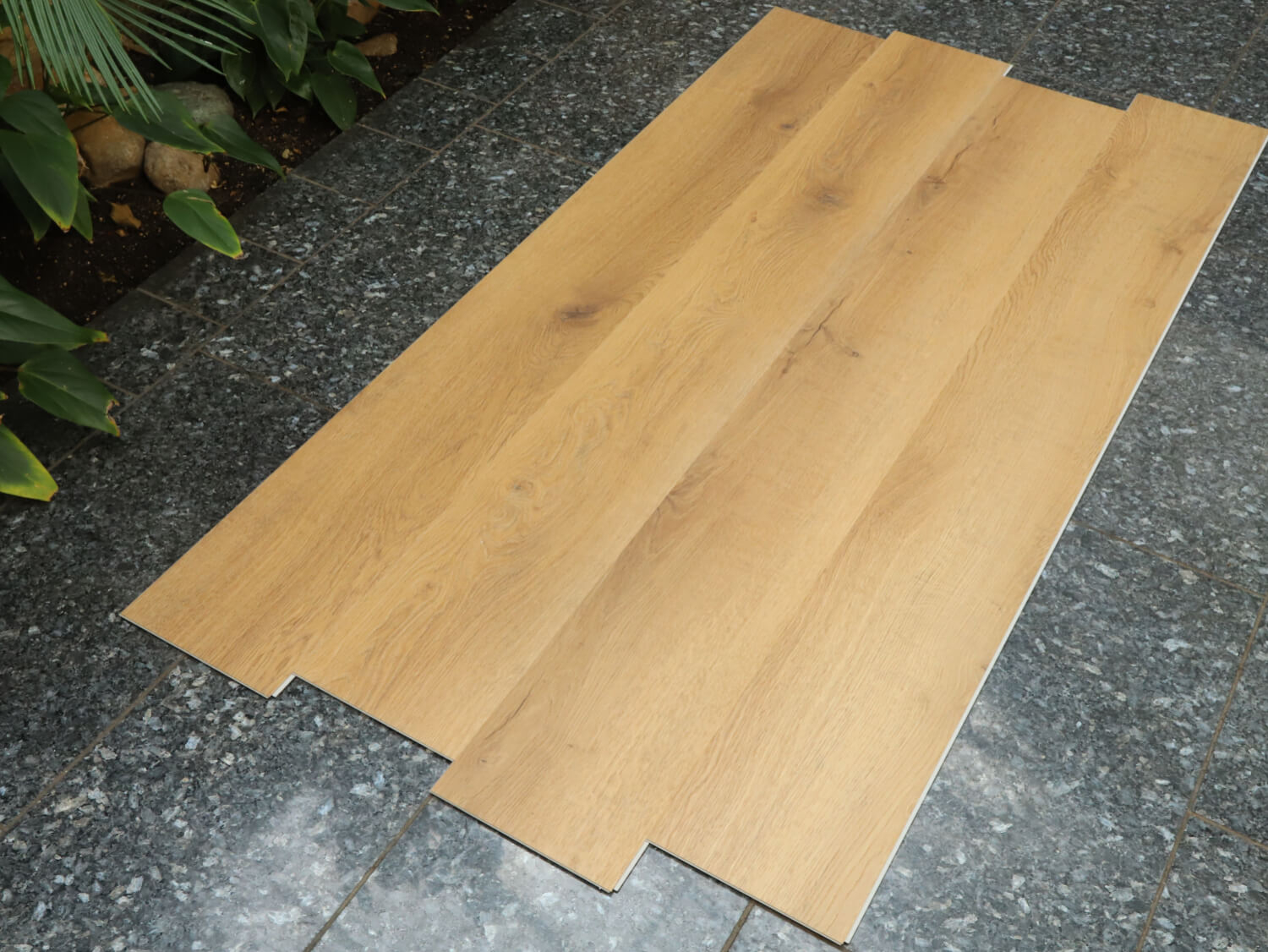 Rigid+ Dub beskydský EIR XL 51081E02