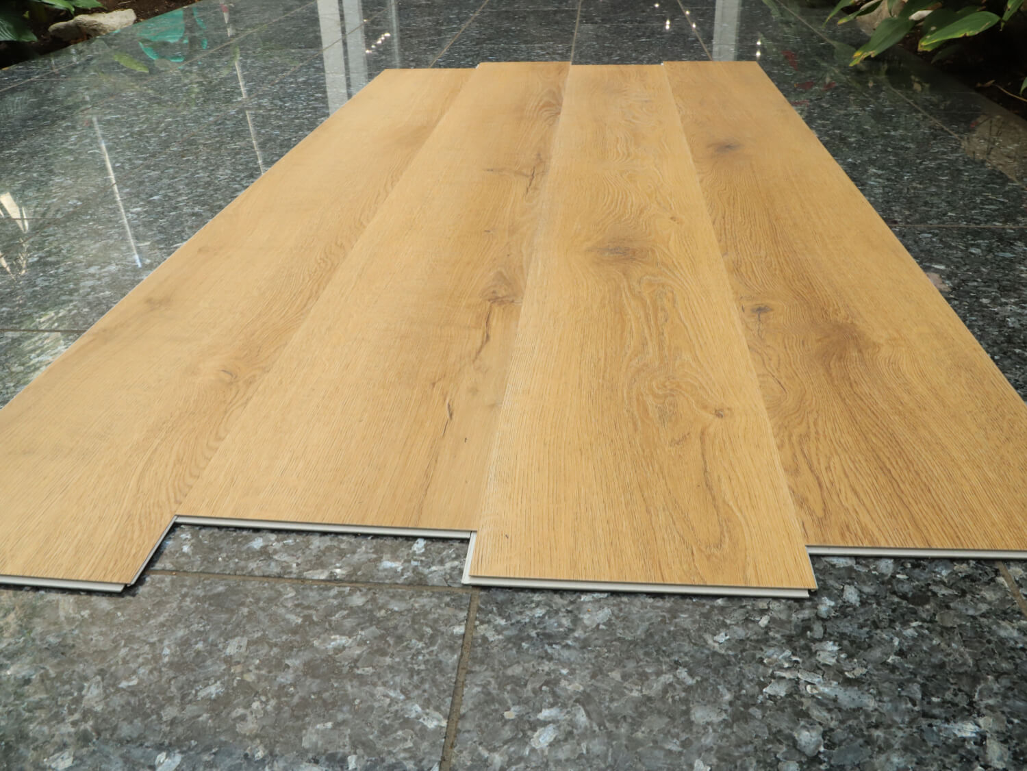 Rigid+ Dub beskydský EIR XL 51081E02