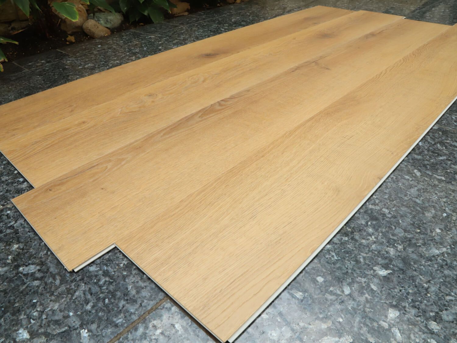 Rigid+ Dub beskydský EIR XL 51081E02