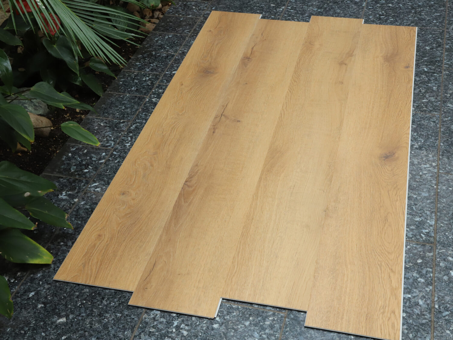 Rigid+ Dub beskydský EIR XL 51081E02