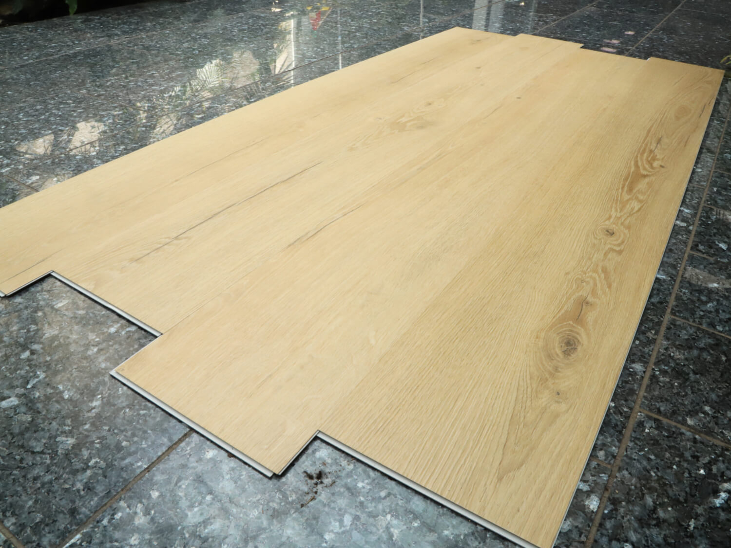 Rigid+ Dub lužický EIR XL 51144E19