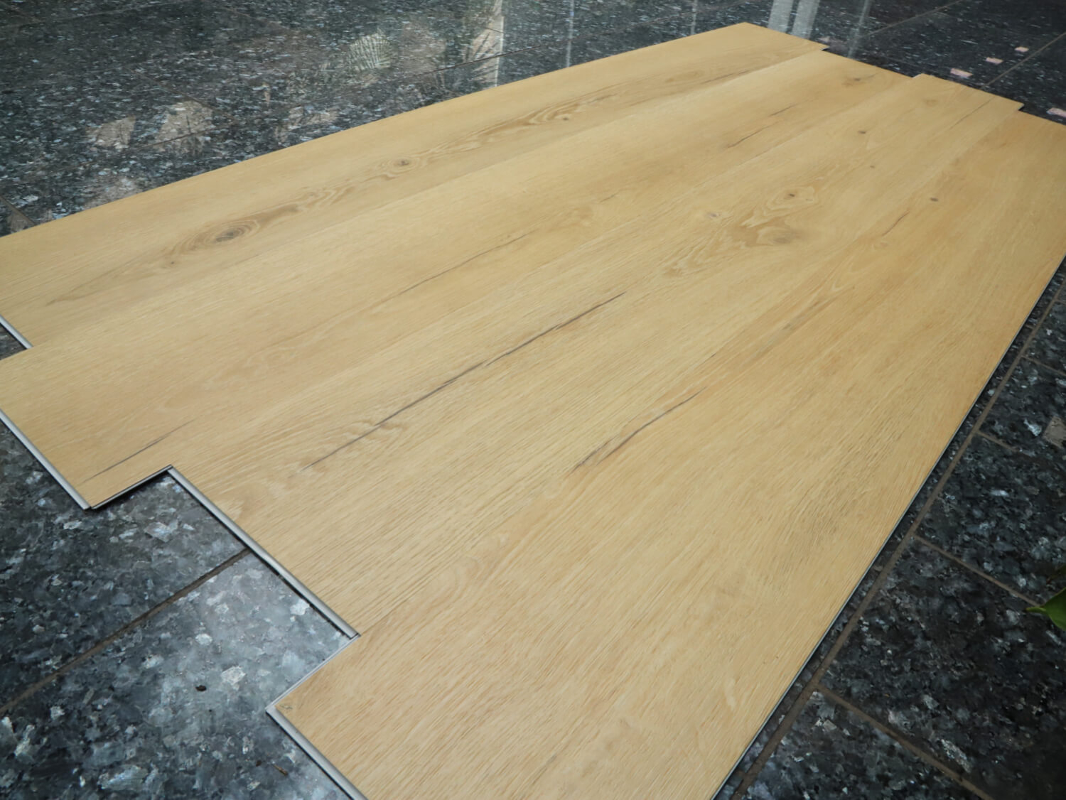 Rigid+ Dub lužický EIR XL 51144E19