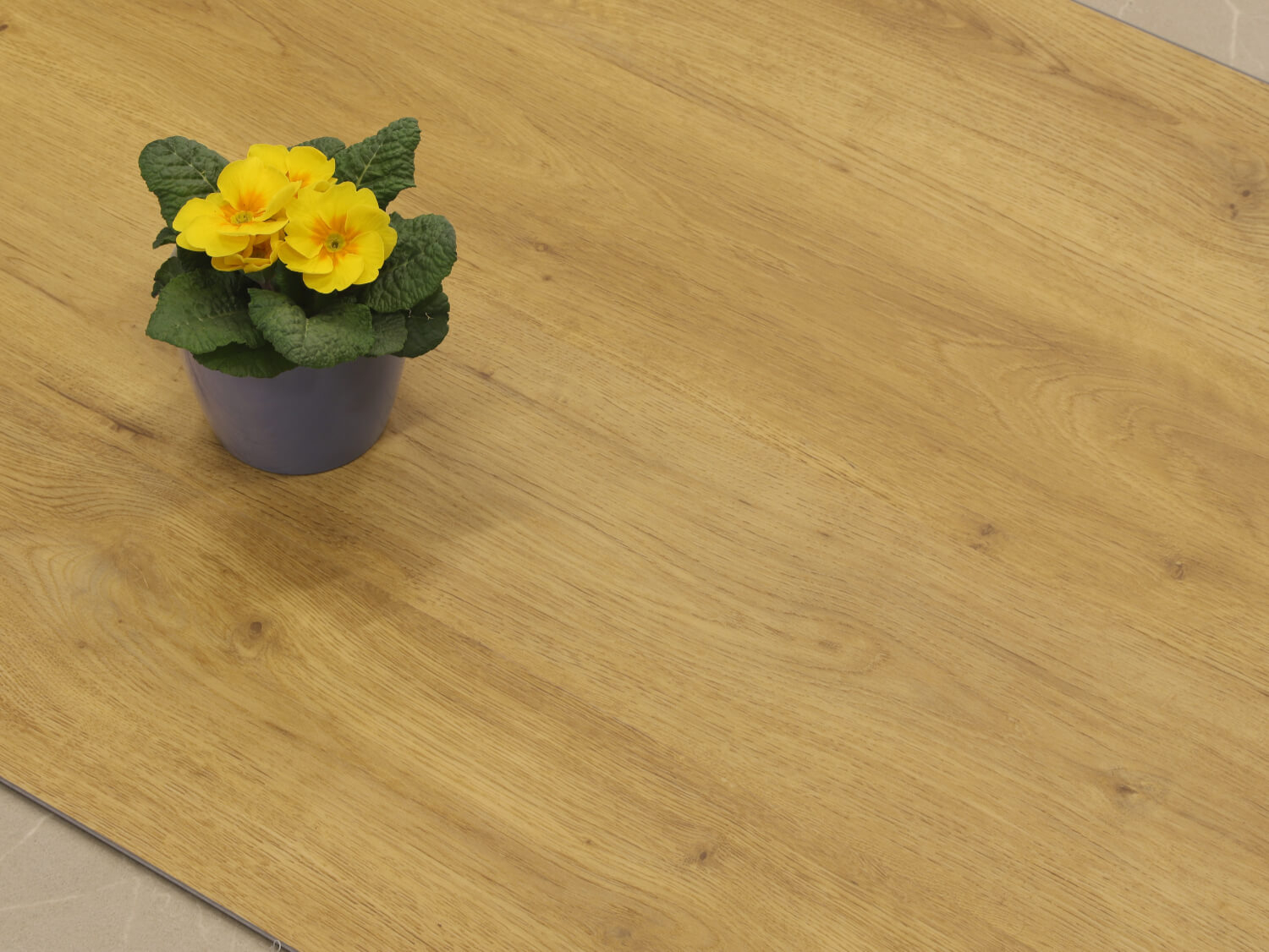 Zenn 55 RigidClick Cairo 60002236