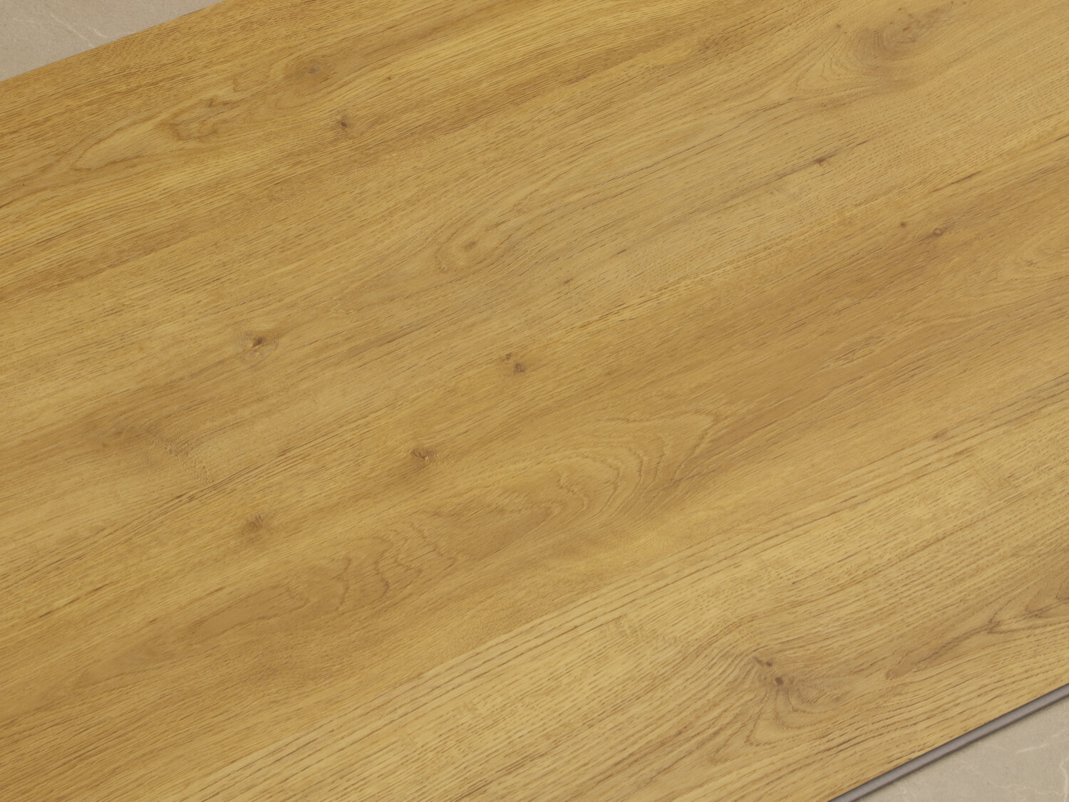 Zenn 55 RigidClick Cairo 60002236