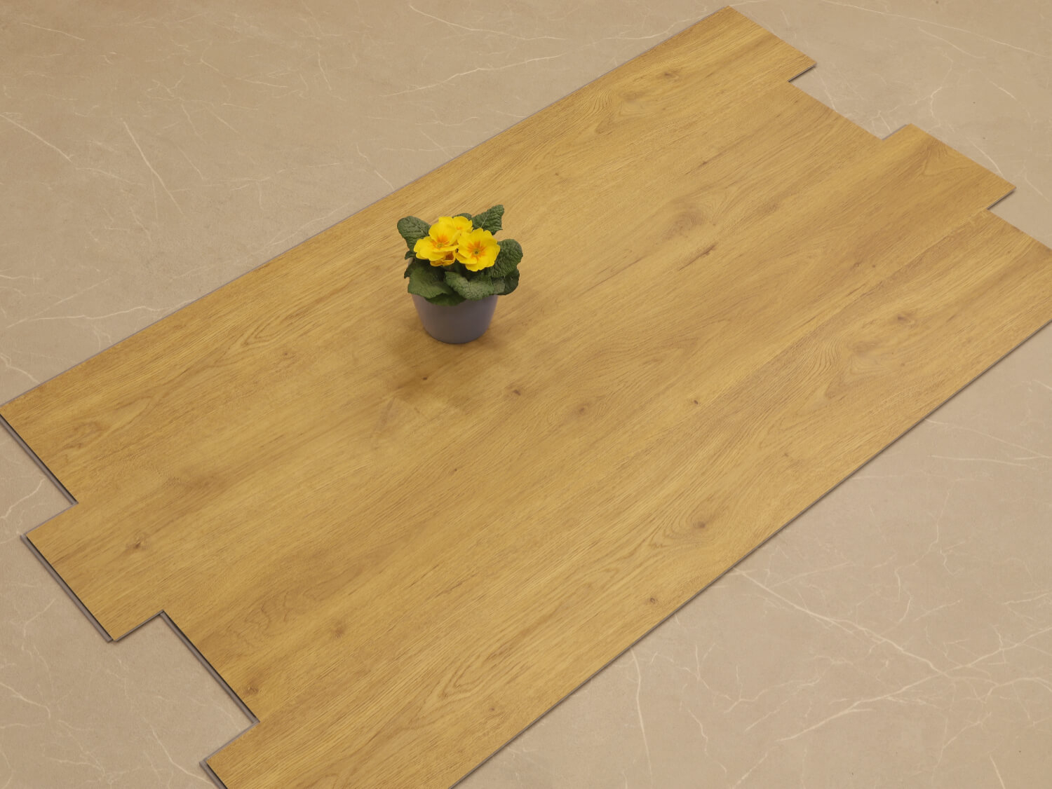 Zenn 55 RigidClick Cairo 60002236