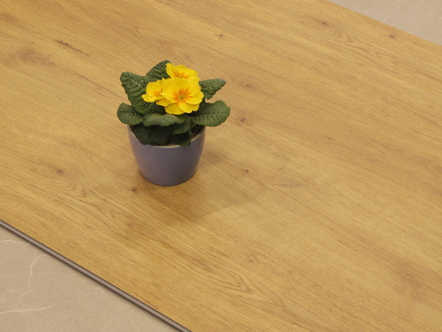 Zenn 55 RigidClick Cairo 60002236