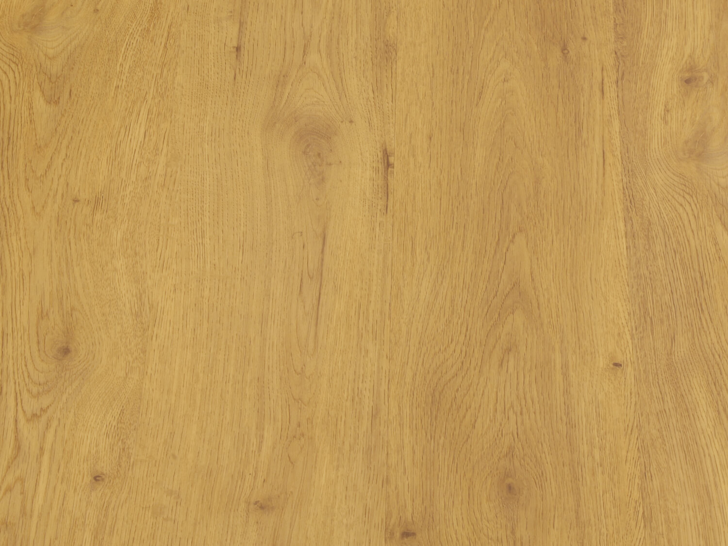 Zenn 55 RigidClick Cairo 60002236