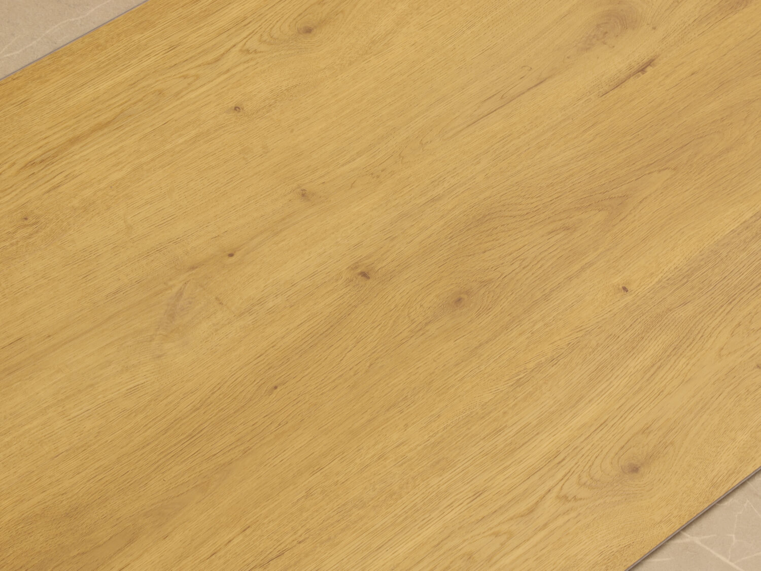 Zenn 55 RigidClick Cairo 60002236