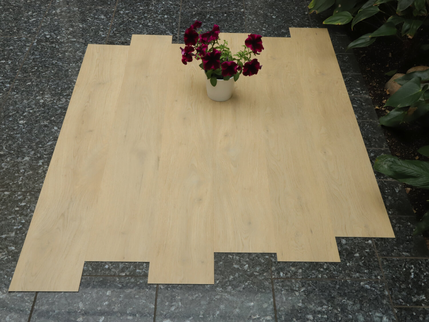 Zenn 55 RigidClick Faro 60002237