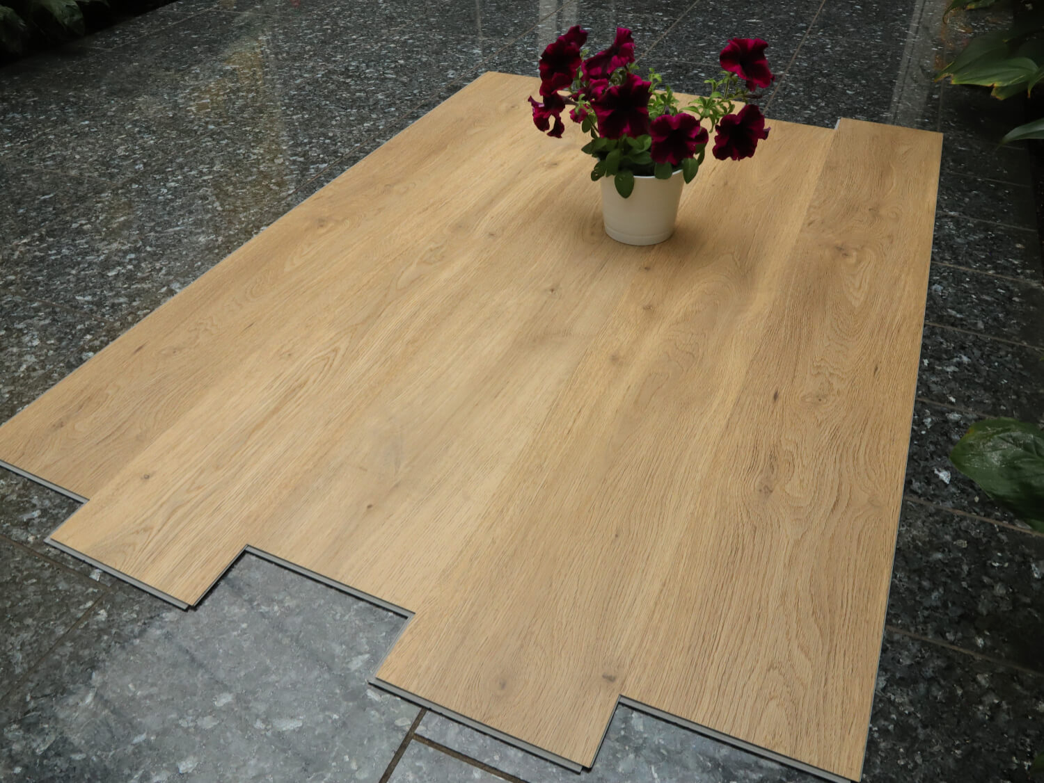 Zenn 55 RigidClick Porto 60002235