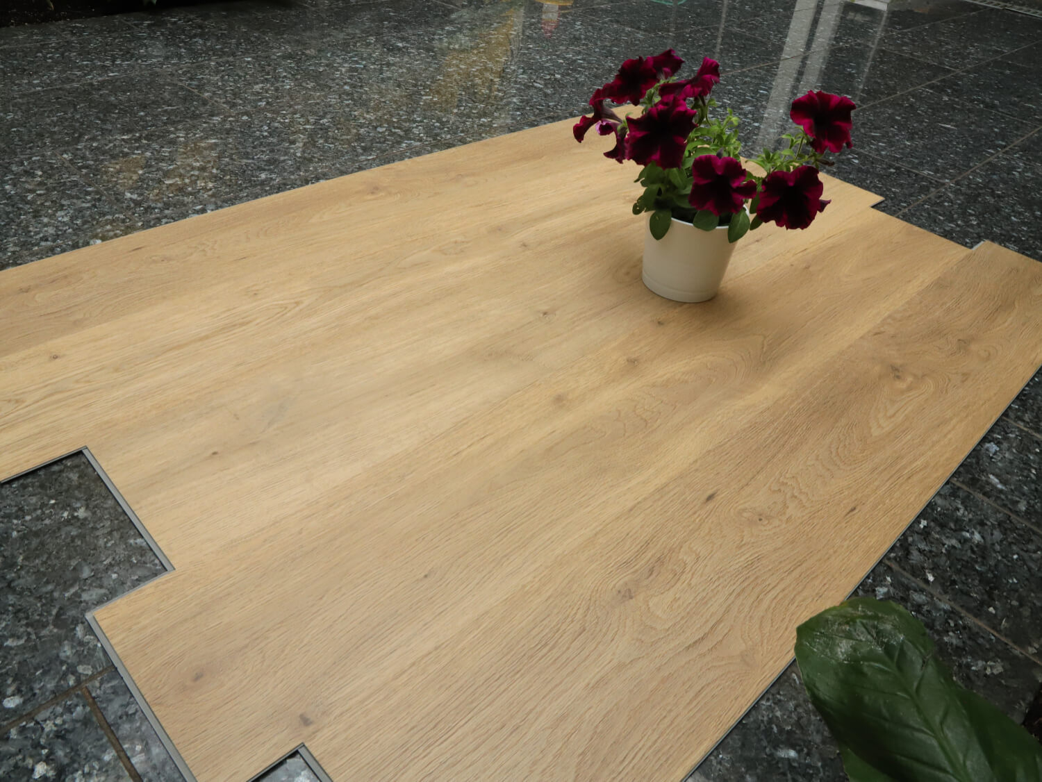 Zenn 55 RigidClick Porto 60002235