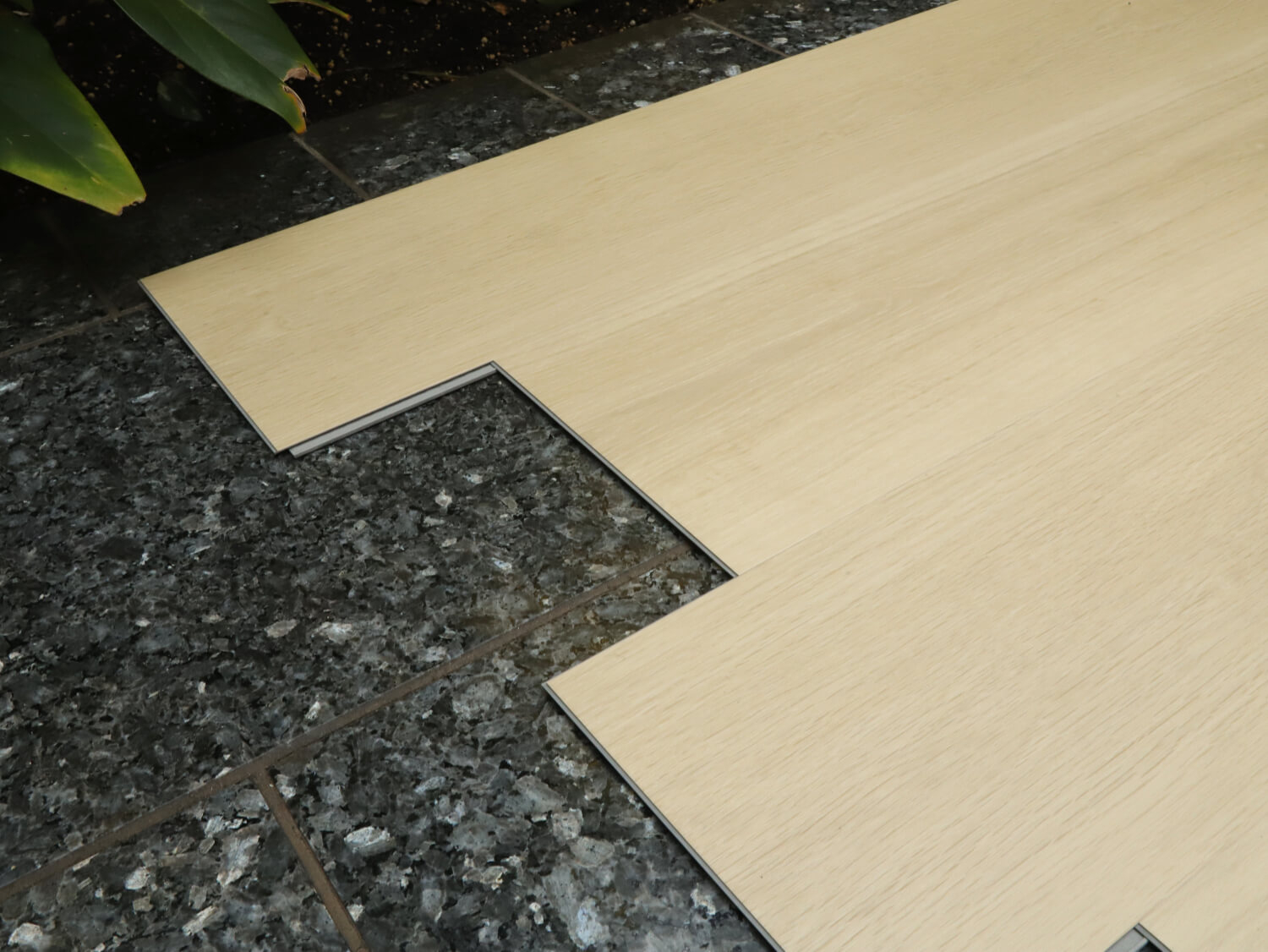 Zenn 55 RigidClick Sorrento 60002230