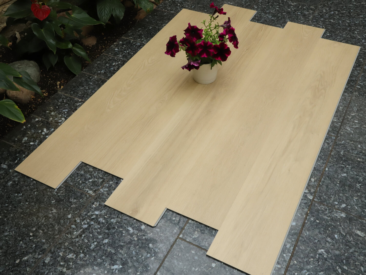 Zenn 55 RigidClick Orlando 60002232