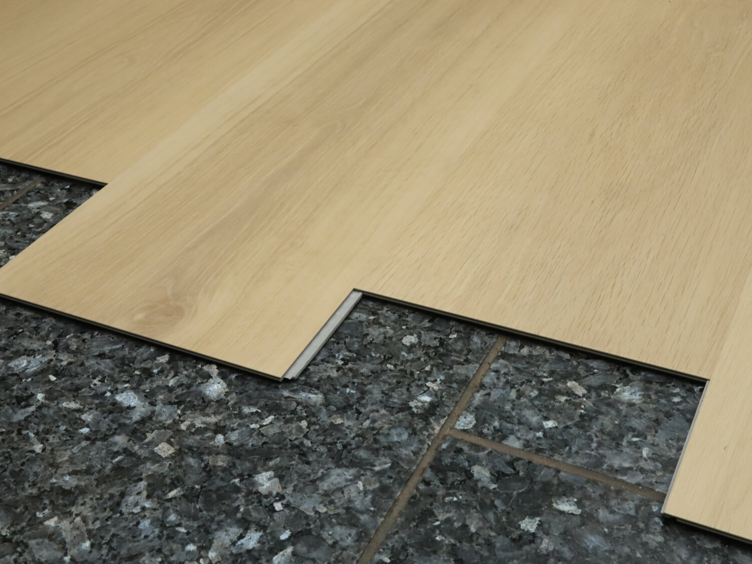 Zenn 55 RigidClick Orlando 60002232