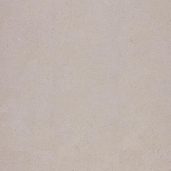 Zenn 55 RigidClick Delhi 60002238