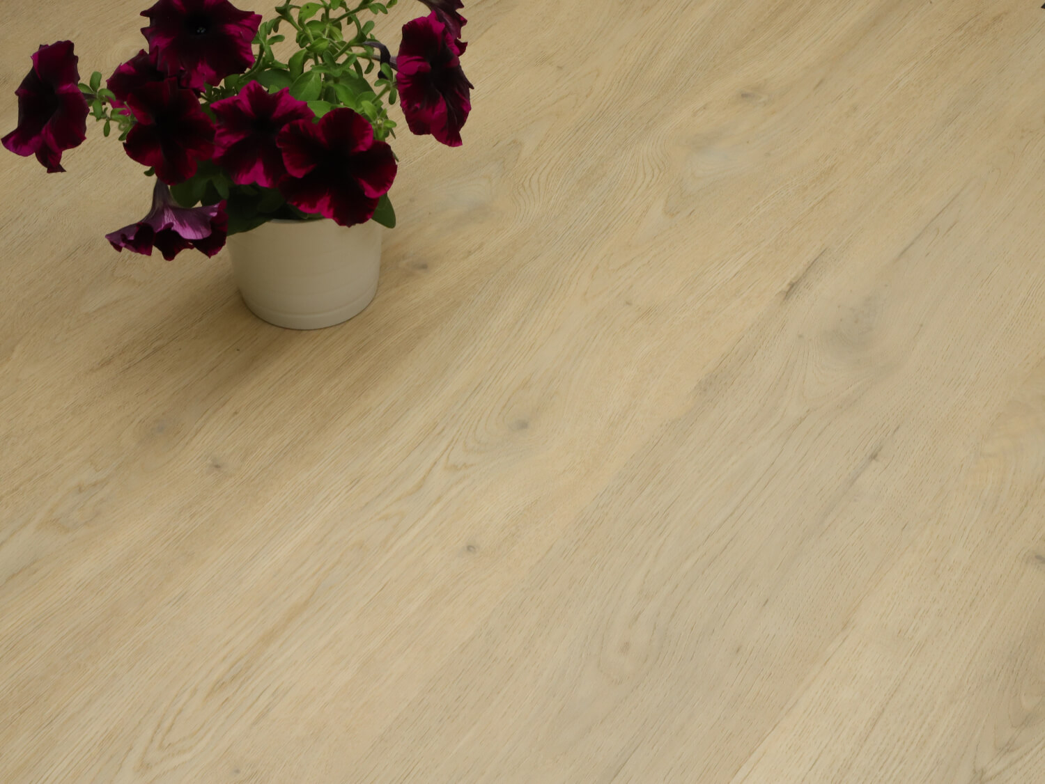 Zenn 55 lepený Faro 60002257