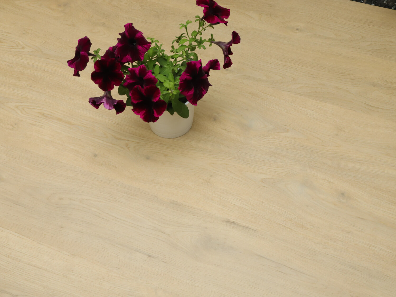 Zenn 55 lepený Faro 60002257