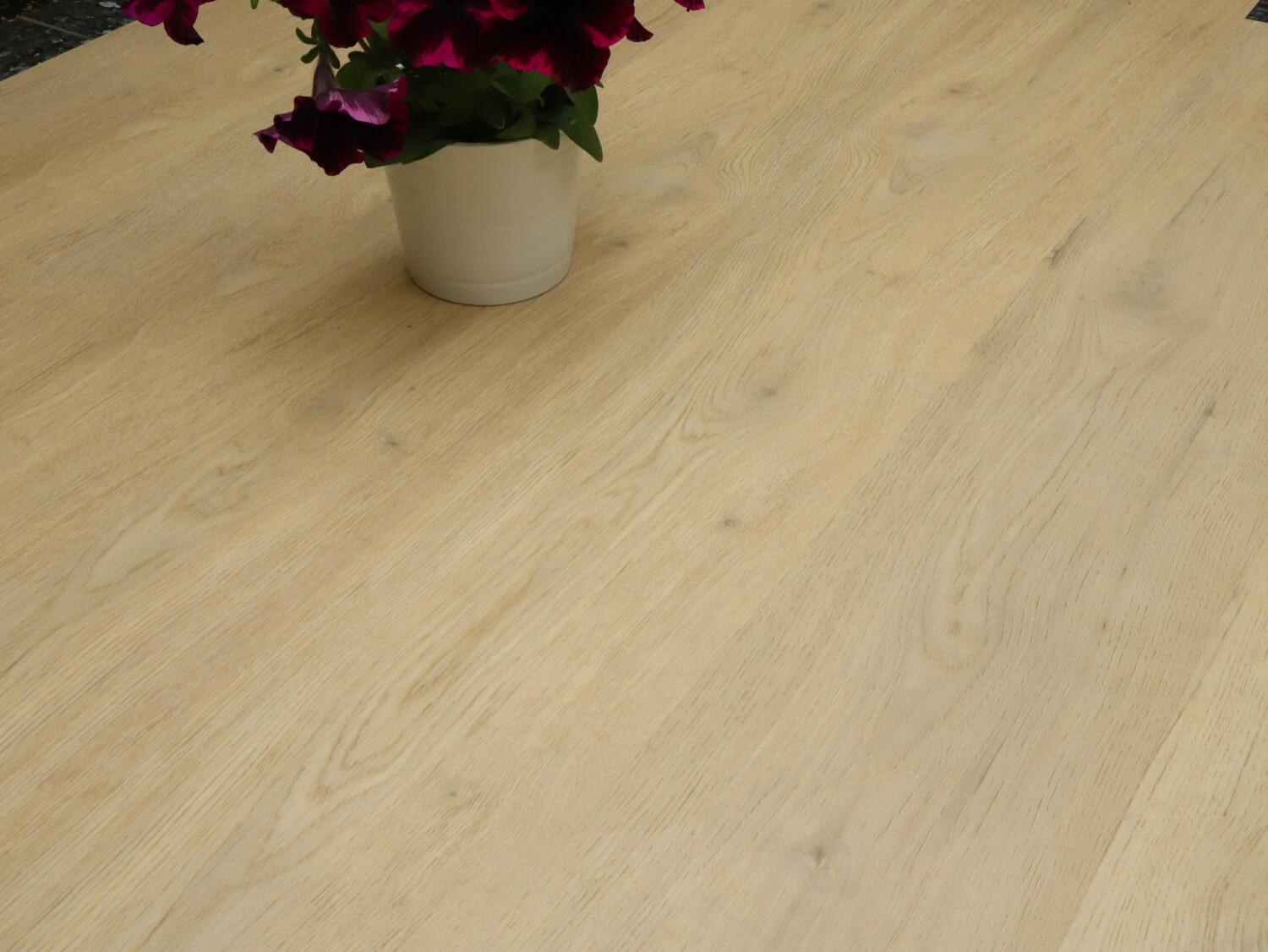 Zenn 55 lepený Faro 60002257