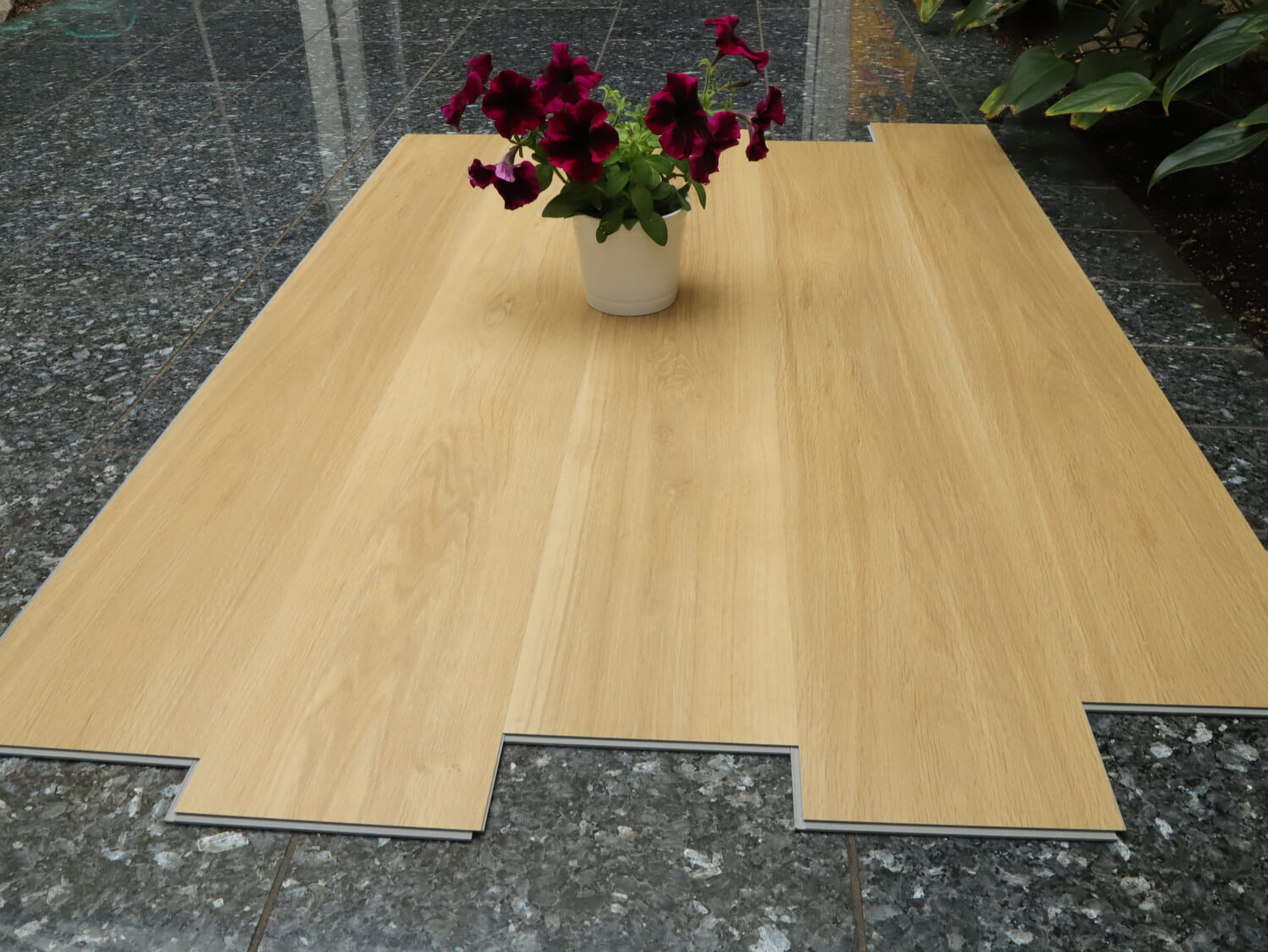 Zenn 55 lepený Monsanto 60002251