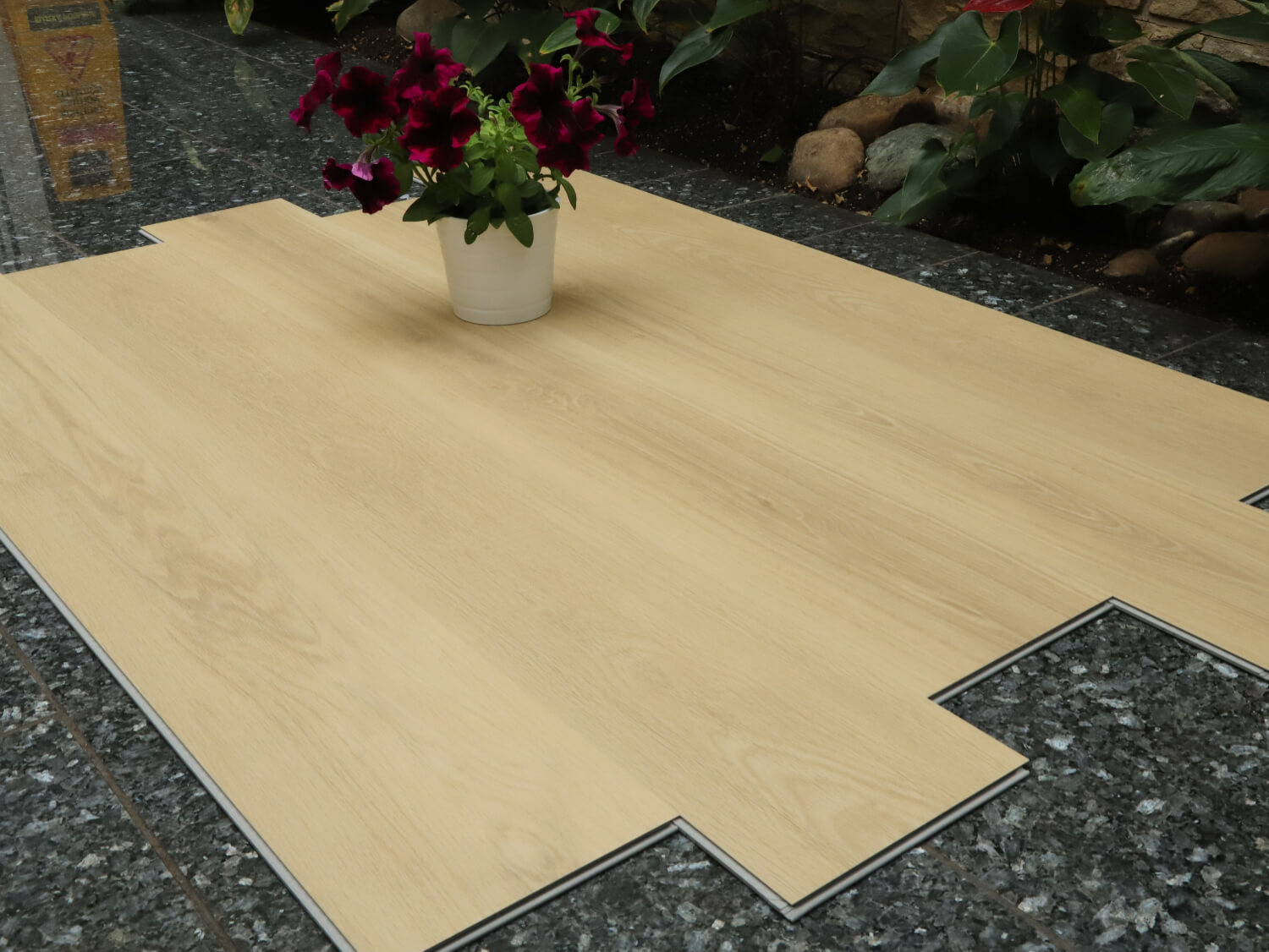 Zenn 55 lepený Orlando 60002252