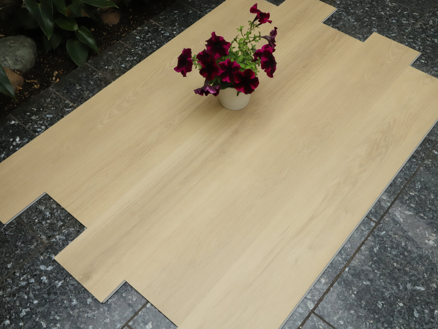 Zenn 55 lepený Orlando 60002252