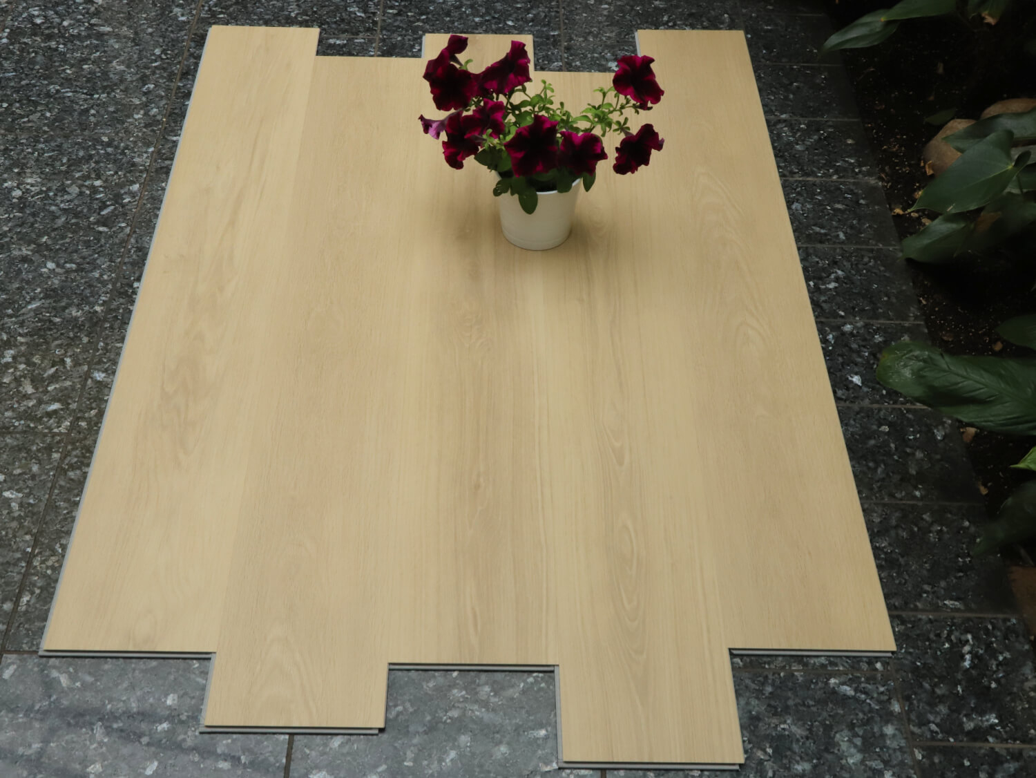 Zenn 55 lepený Orlando 60002252