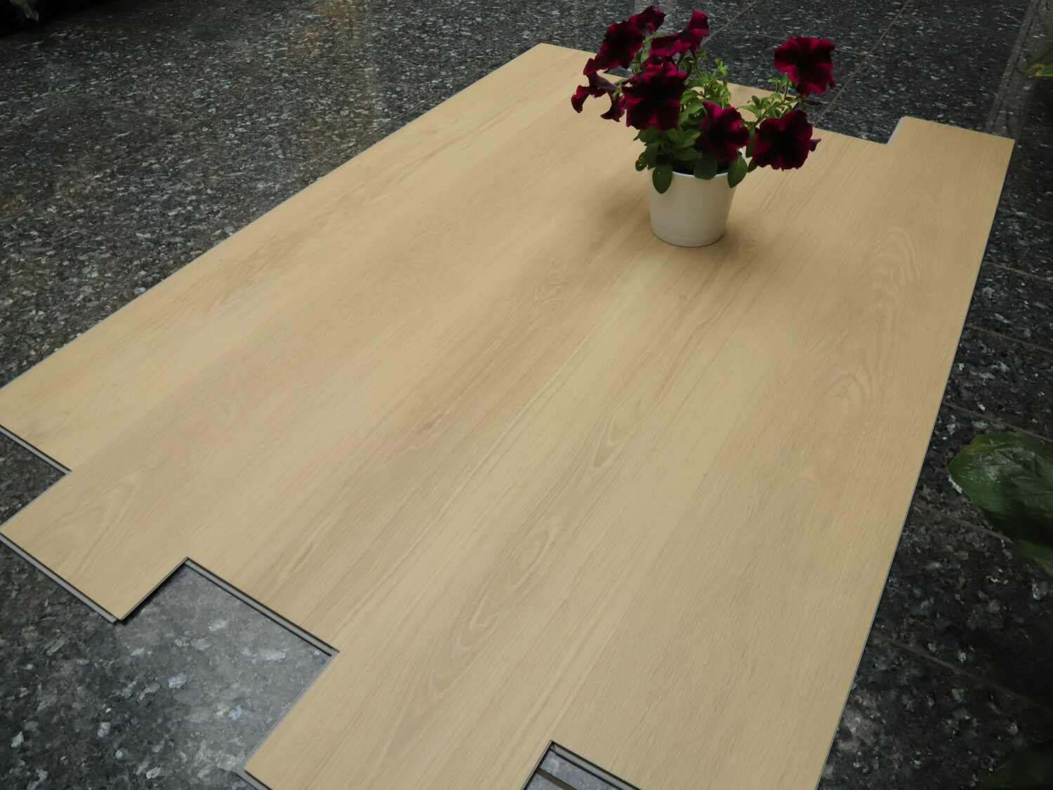 Zenn 55 lepený Orlando 60002252