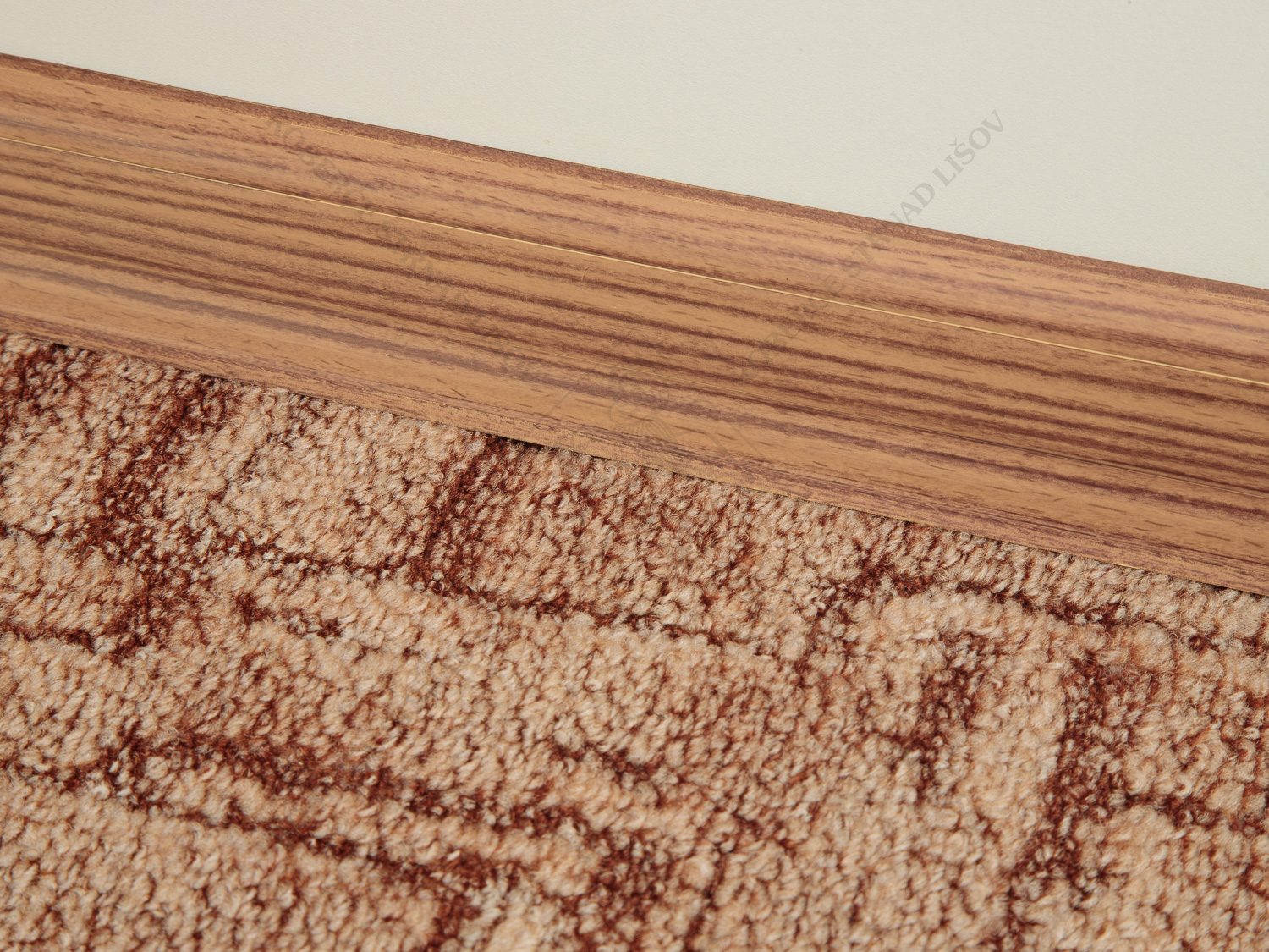 SLK 50 - W178 african zebra