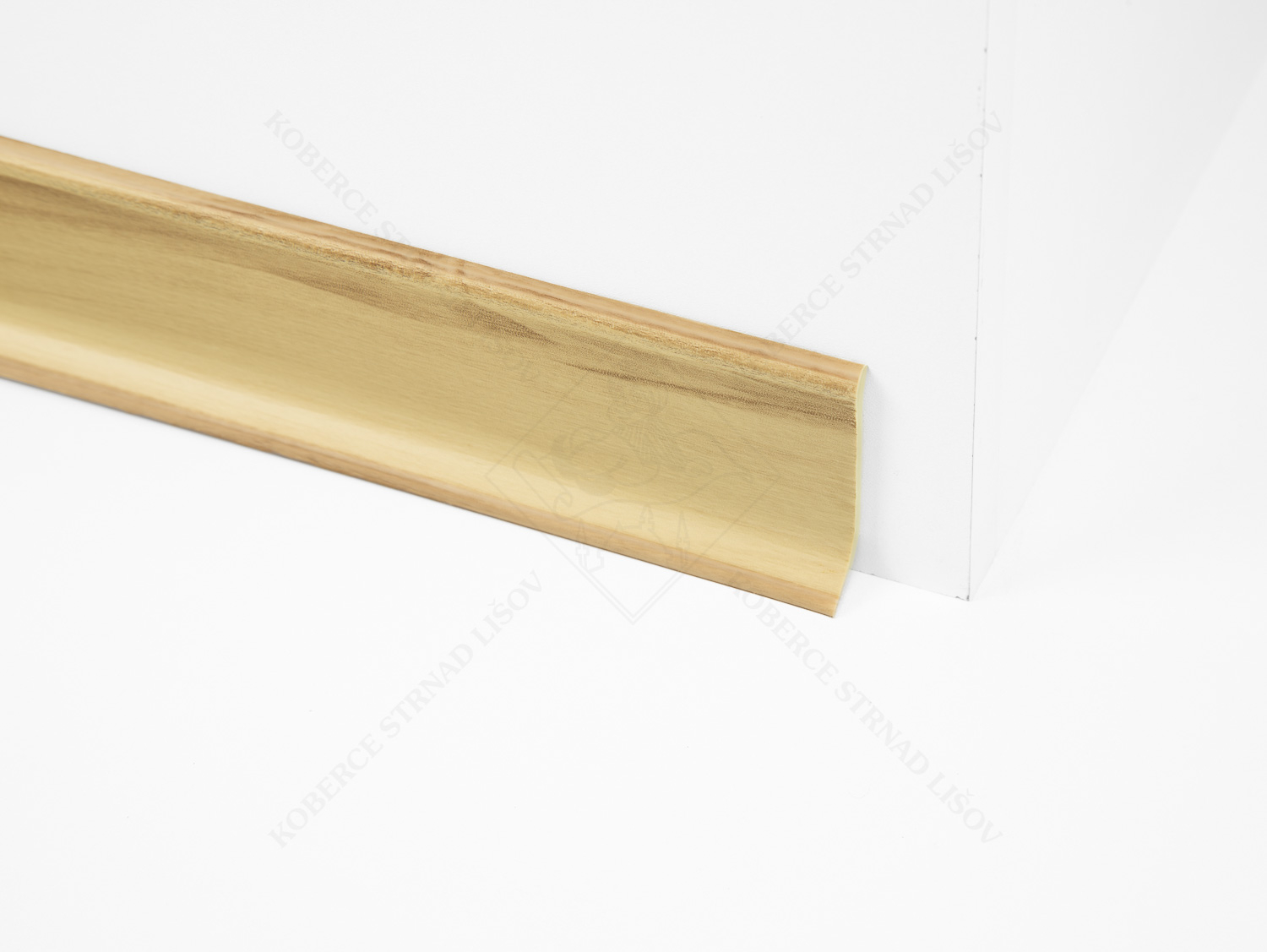 HSL 6 - 2336 seeuferbuche